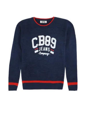 Boys Casual Blue Full Sleeve Pullover Sweater